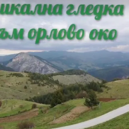 чала Guest house