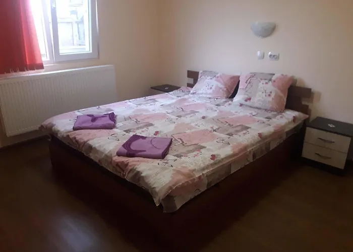 чала 게스트하우스 *